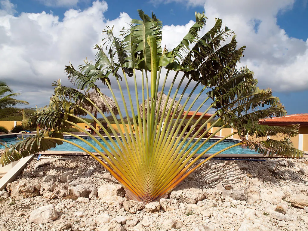 Wanapa Lodge Bonaire Aparthotel