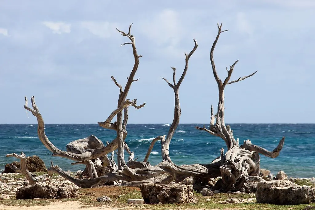 Aparthotel Wanapa Lodge Bonaire