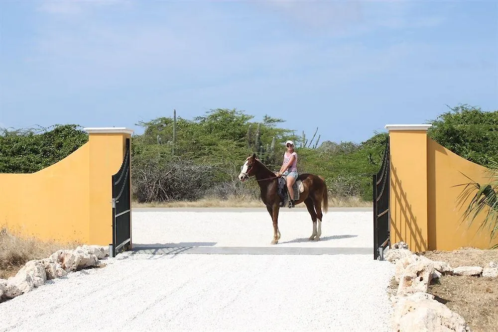 Wanapa Lodge Bonaire 4*,  Bonaire, Sint Eustatius en Saba